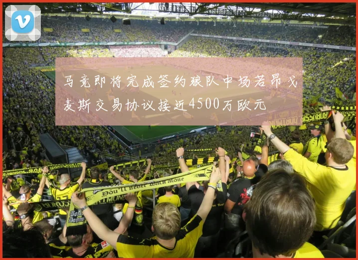 马竞即将完成签约狼队中场若昂戈麦斯交易协议接近4500万欧元