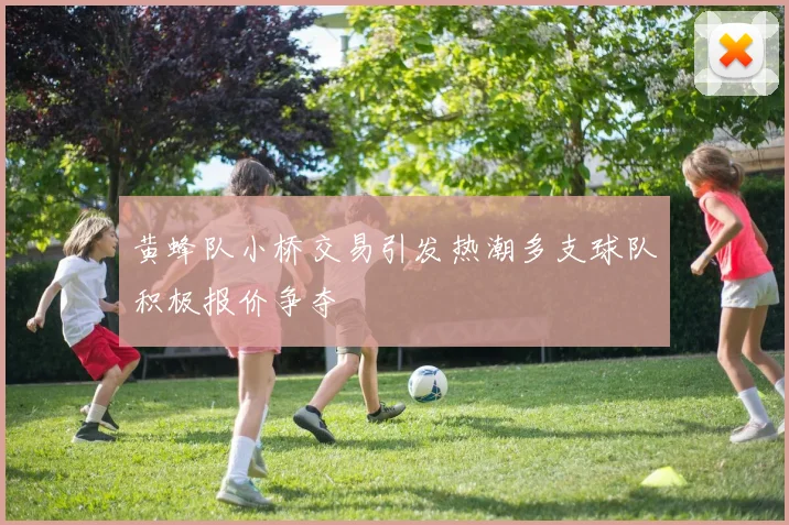 黄蜂队小桥交易引发热潮多支球队积极报价争夺